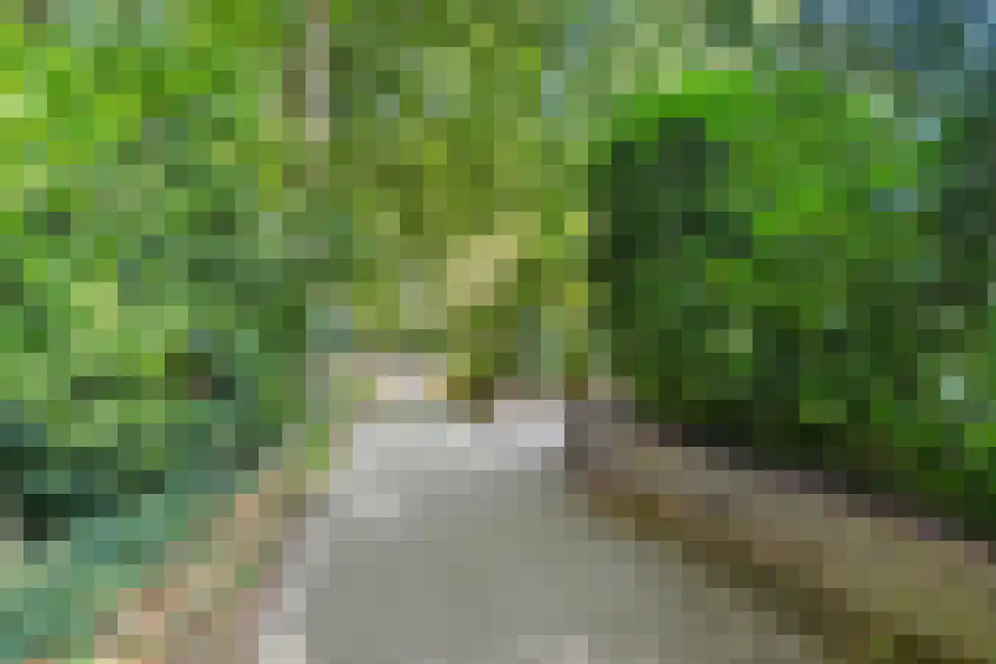 Dassenboslaan 21 Wageningen thumbnail 25