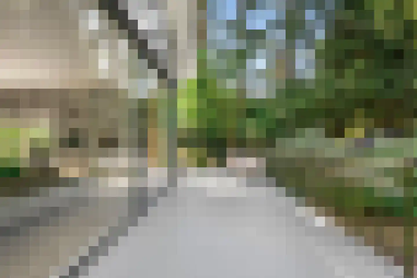 Dassenboslaan 21 Wageningen thumbnail 26
