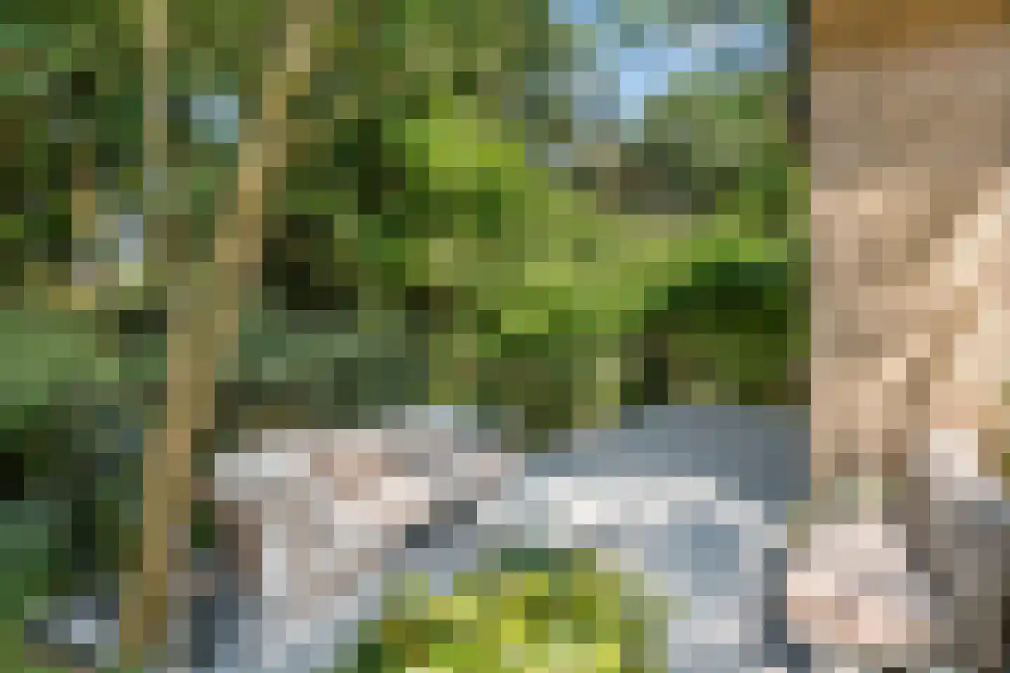 Dassenboslaan 21 Wageningen thumbnail 27