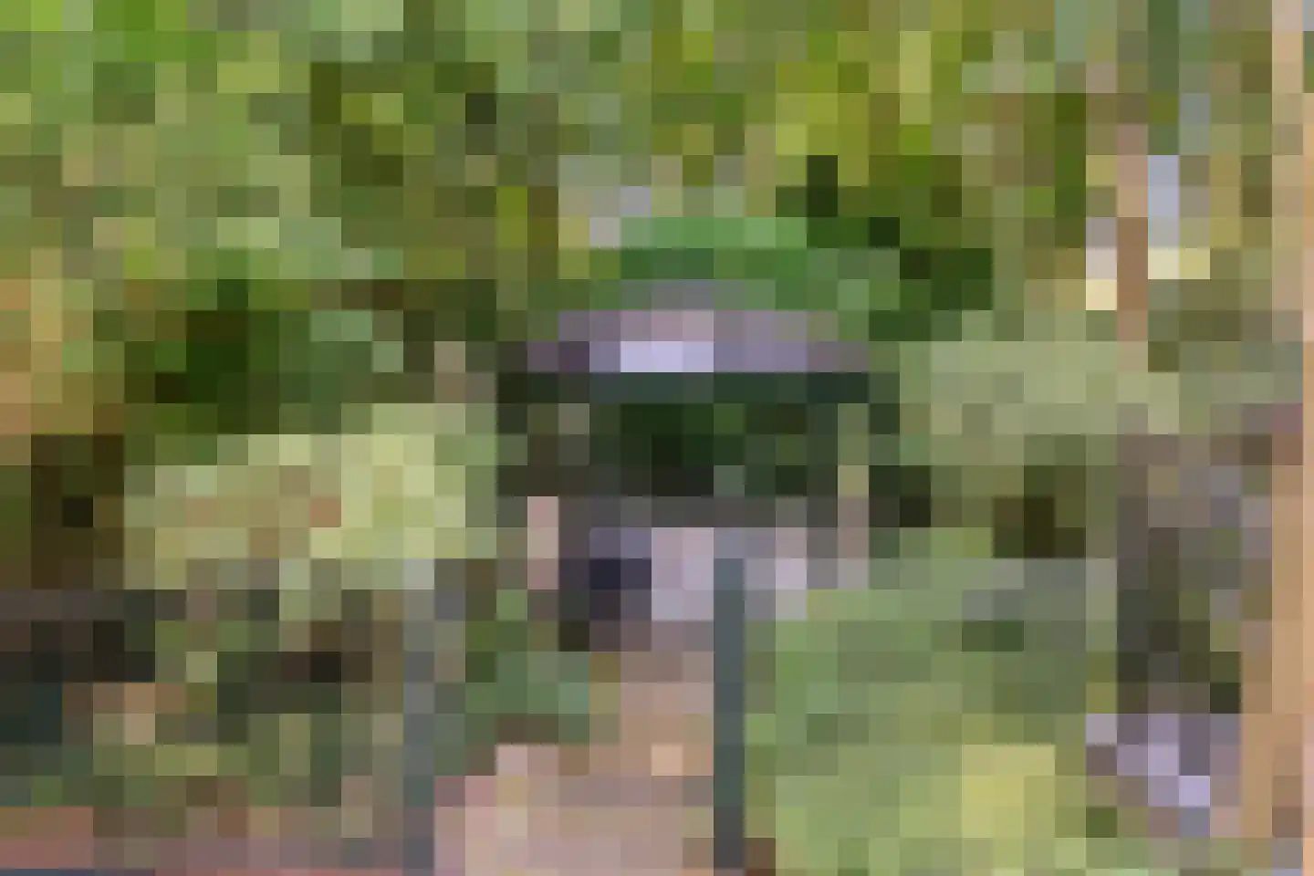 Dassenboslaan 21 Wageningen thumbnail 28