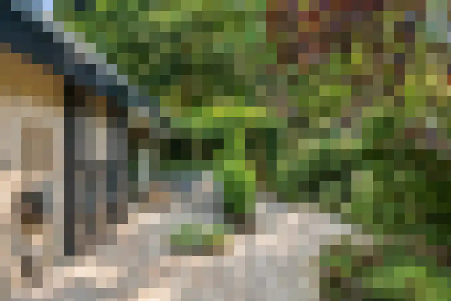 Dassenboslaan 21 Wageningen thumbnail 31
