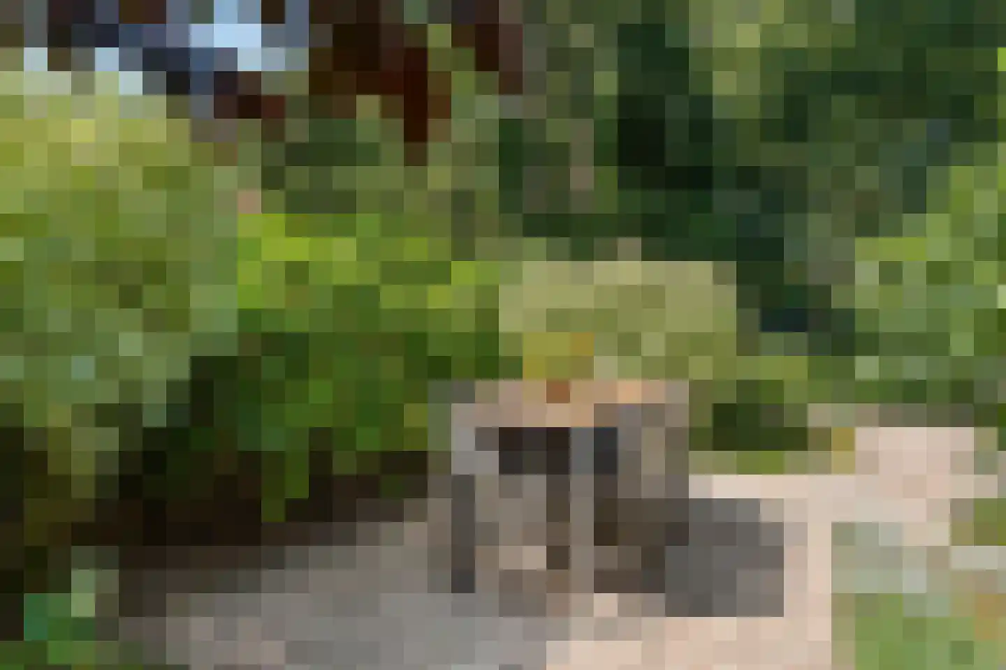 Dassenboslaan 21 Wageningen thumbnail 33