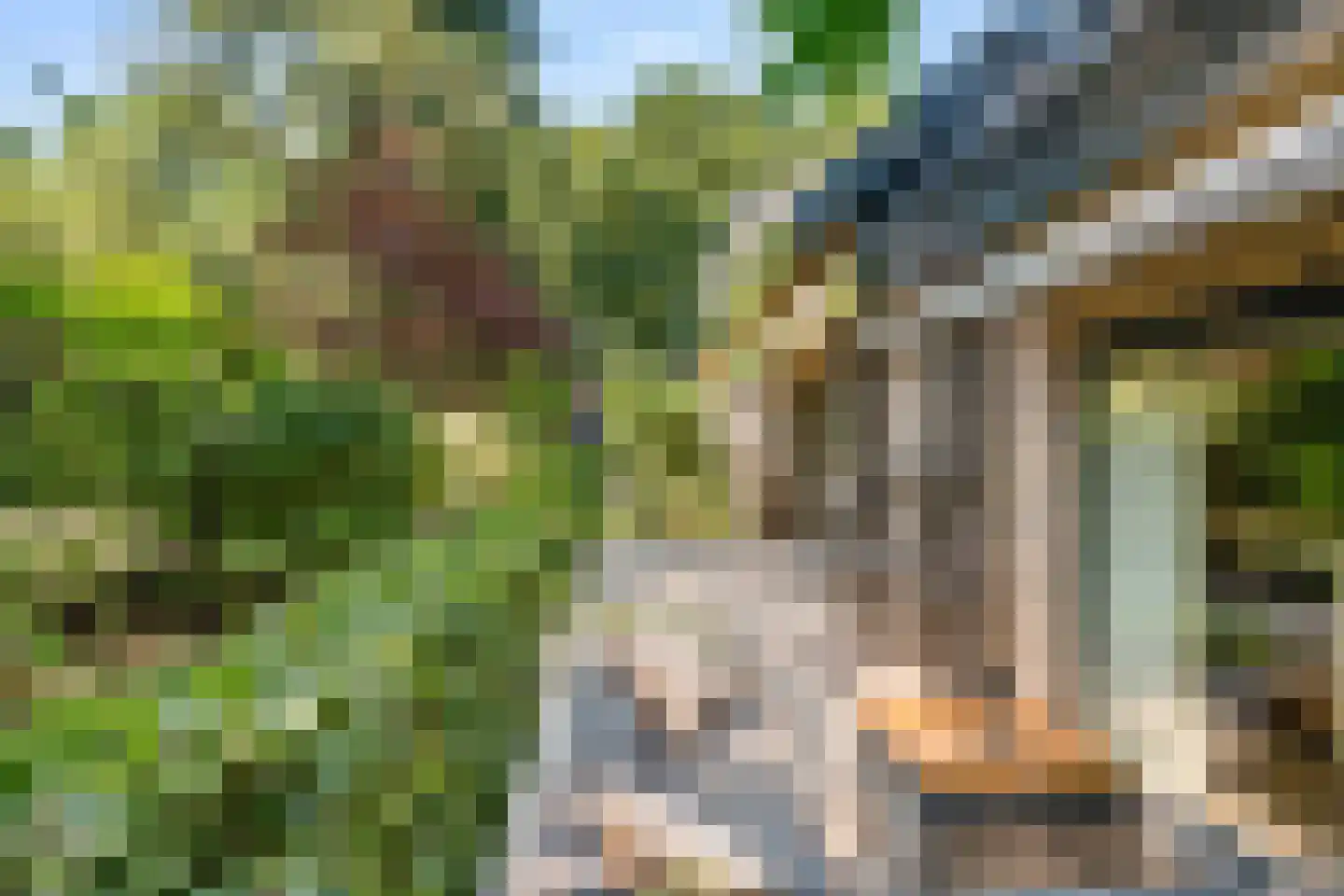 Dassenboslaan 21 Wageningen thumbnail 34
