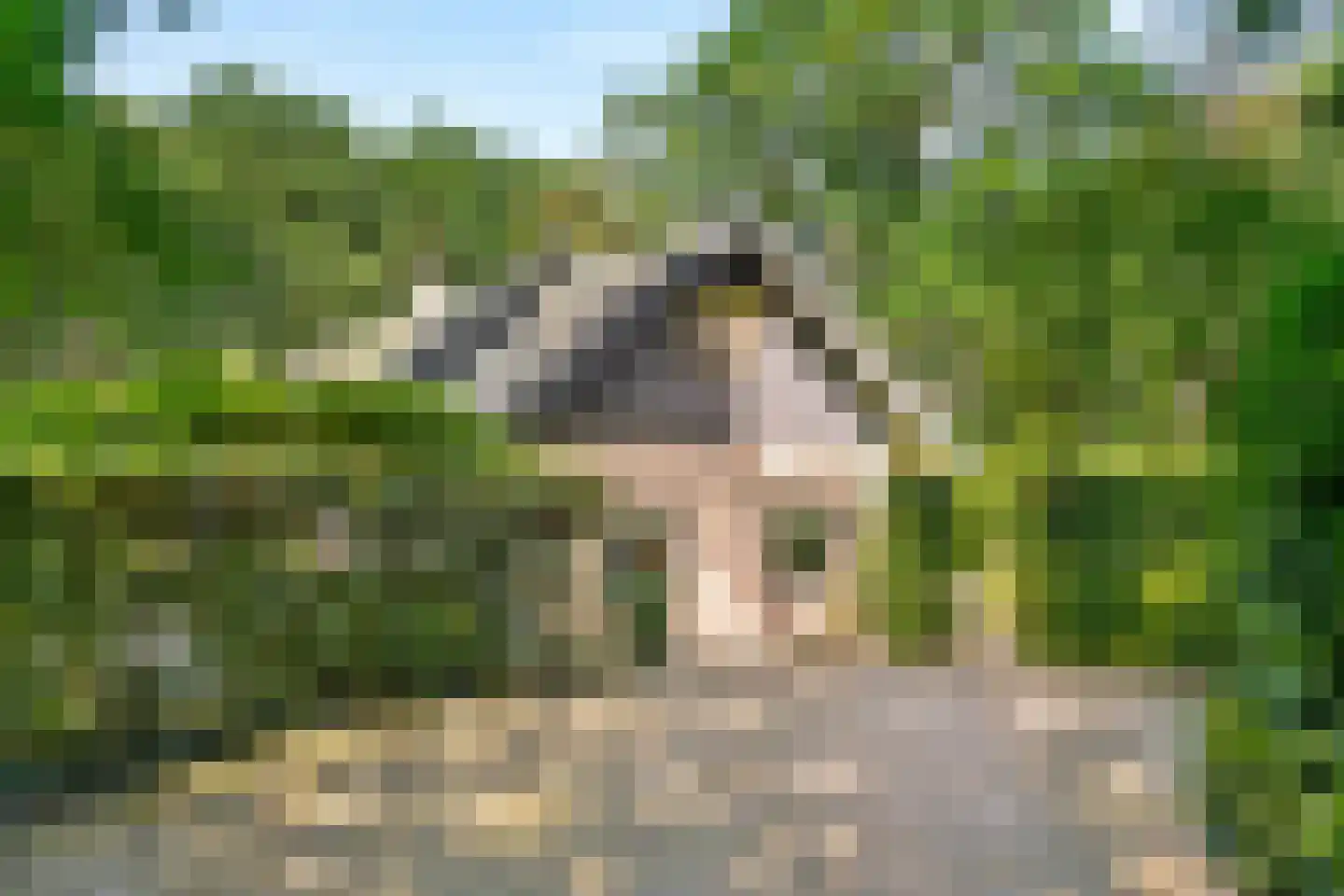 Dassenboslaan 21 Wageningen thumbnail 6