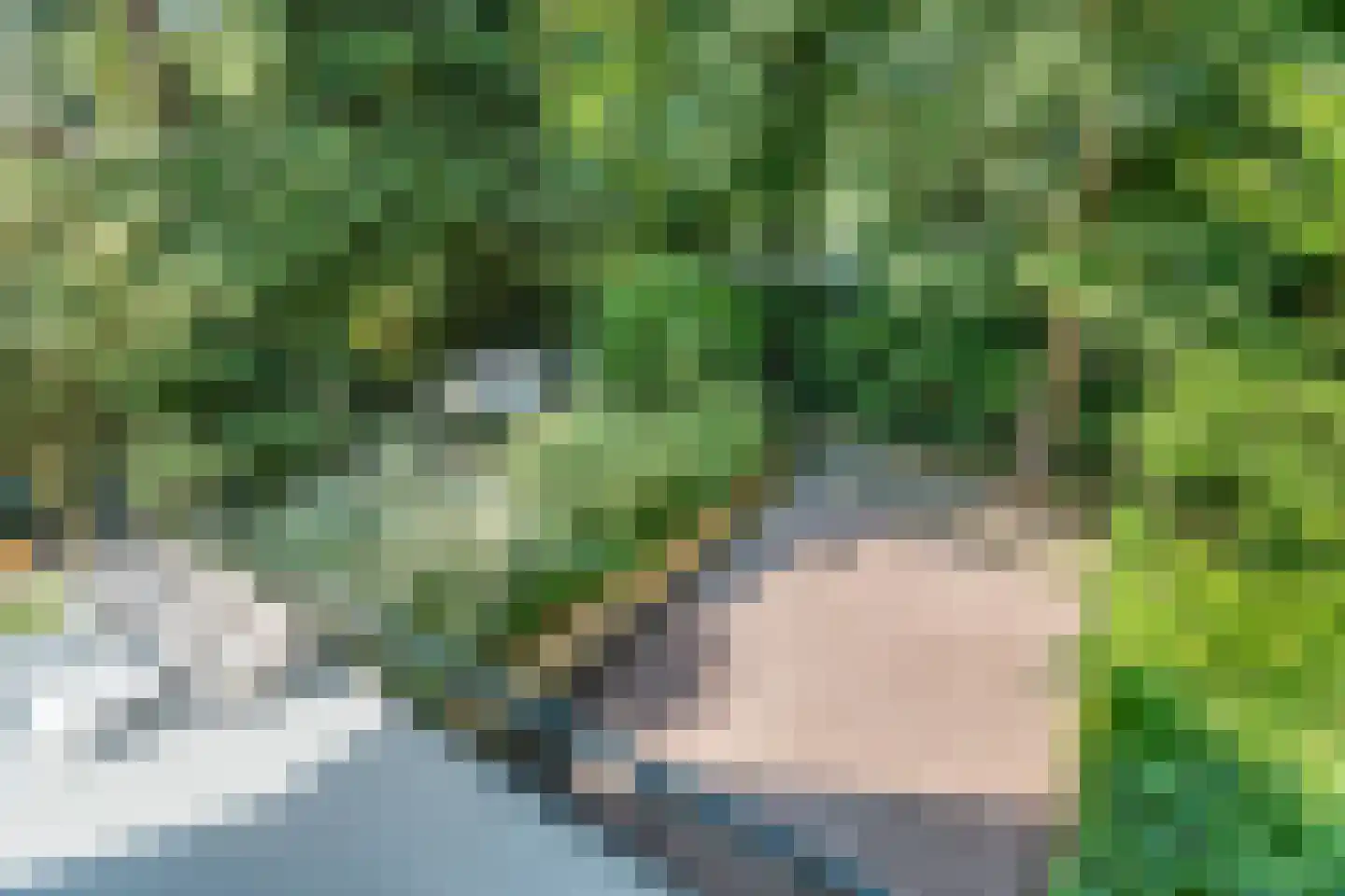 Dassenboslaan 21 Wageningen thumbnail 62