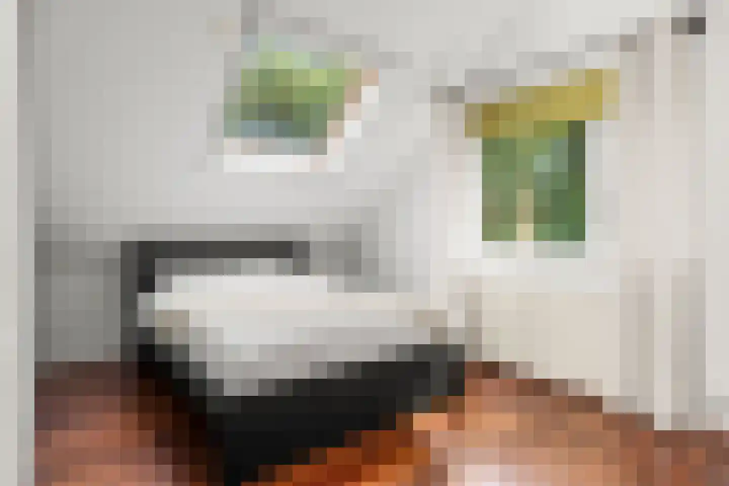 Dassenboslaan 21 Wageningen thumbnail 67