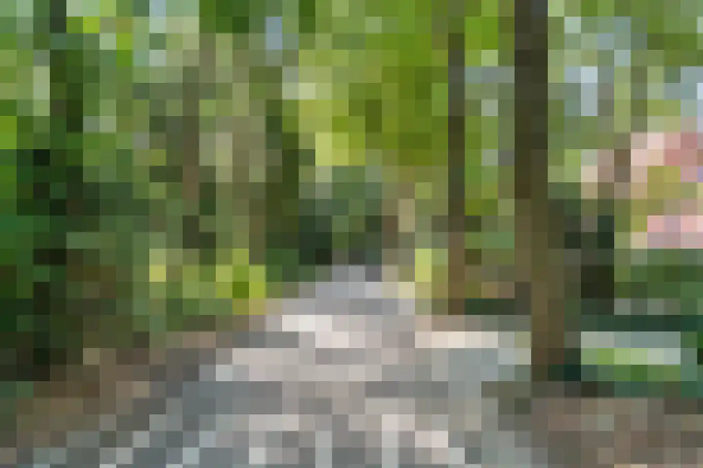 Dassenboslaan 21 Wageningen thumbnail 8