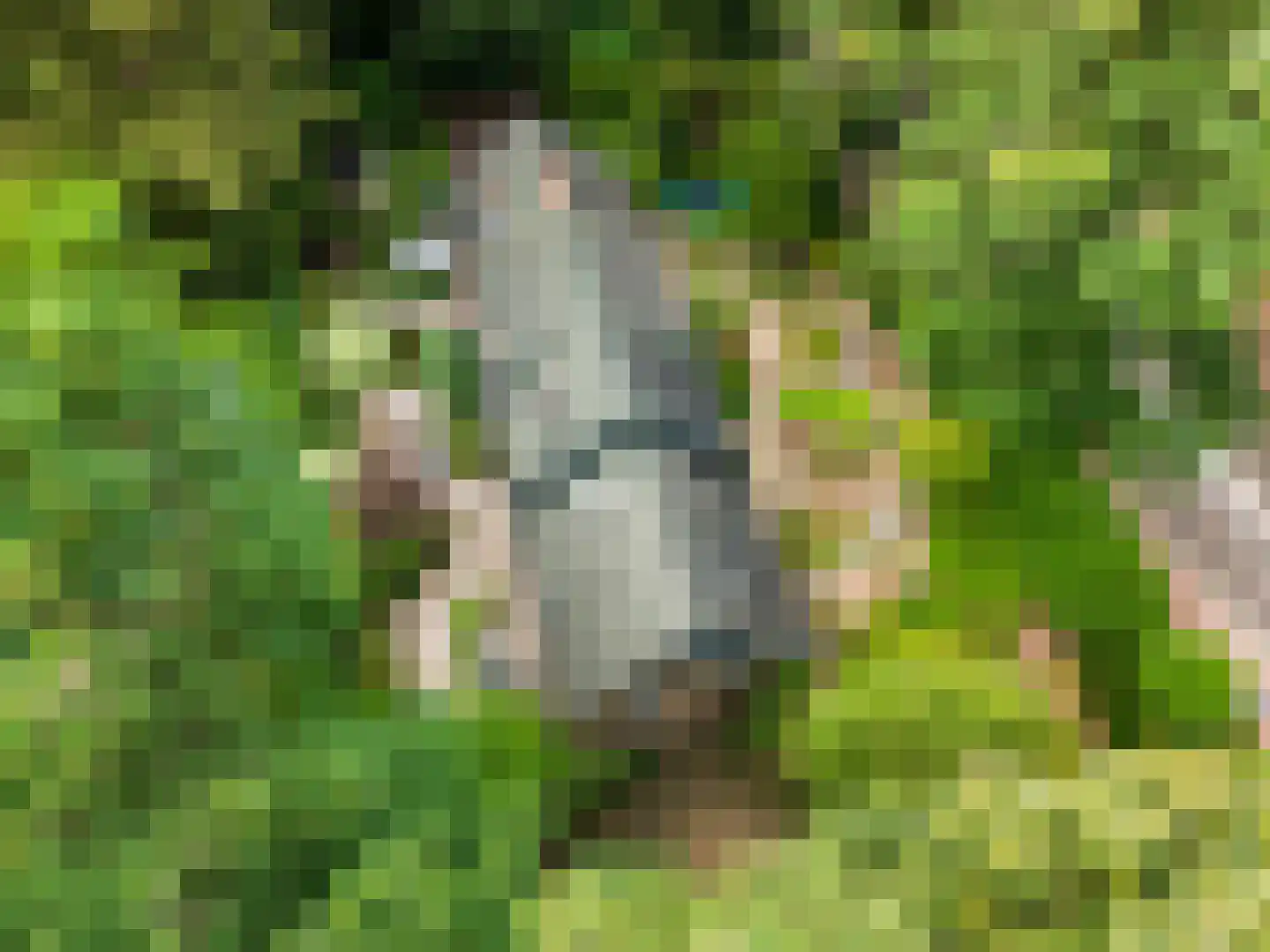 Dassenboslaan 21 Wageningen thumbnail 9