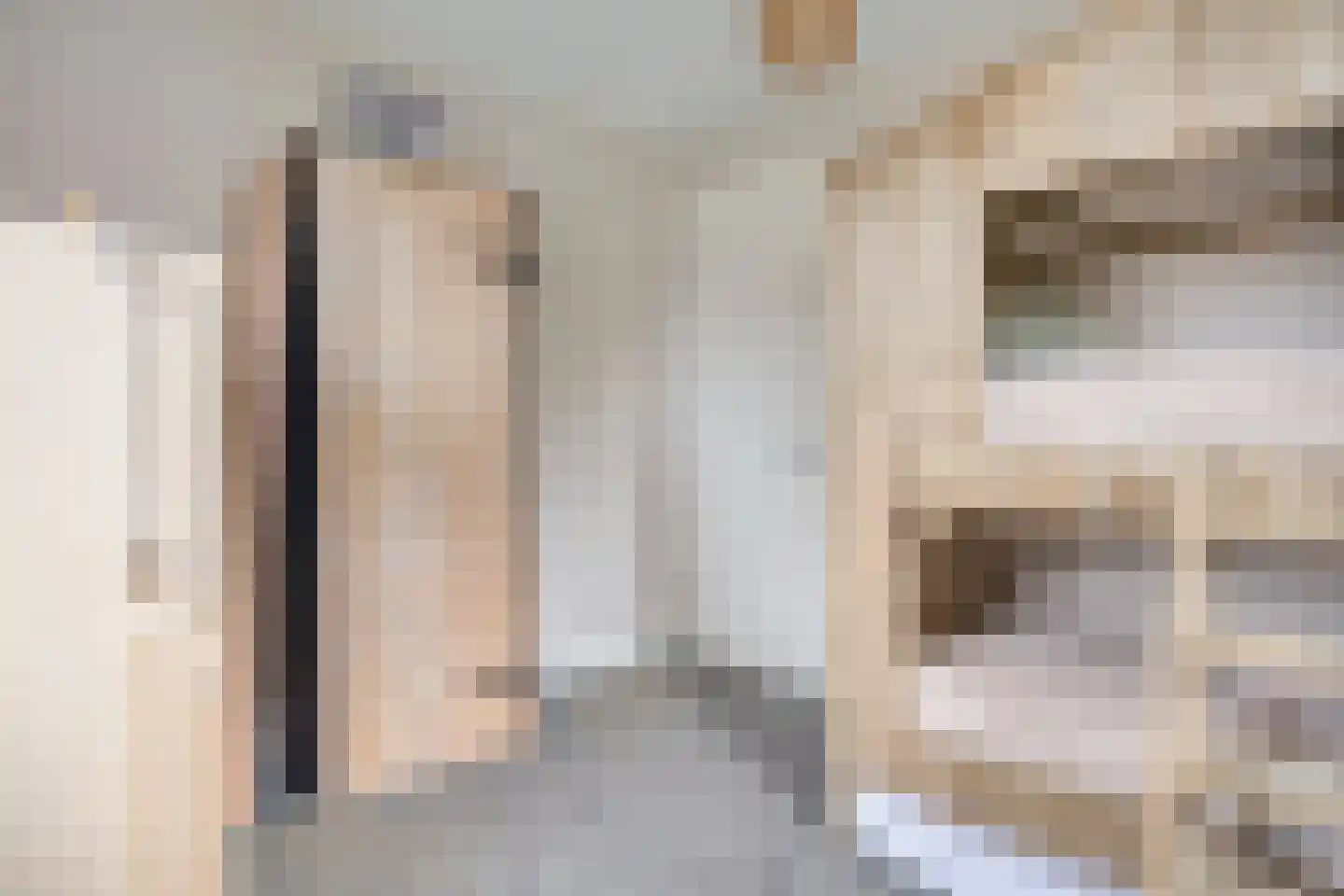 Dassenburcht 1 Scherpenzeel thumbnail 19
