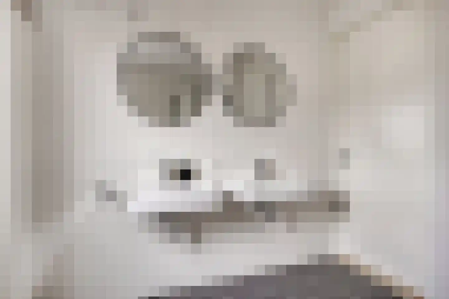Dassenburcht 1 Scherpenzeel thumbnail 22