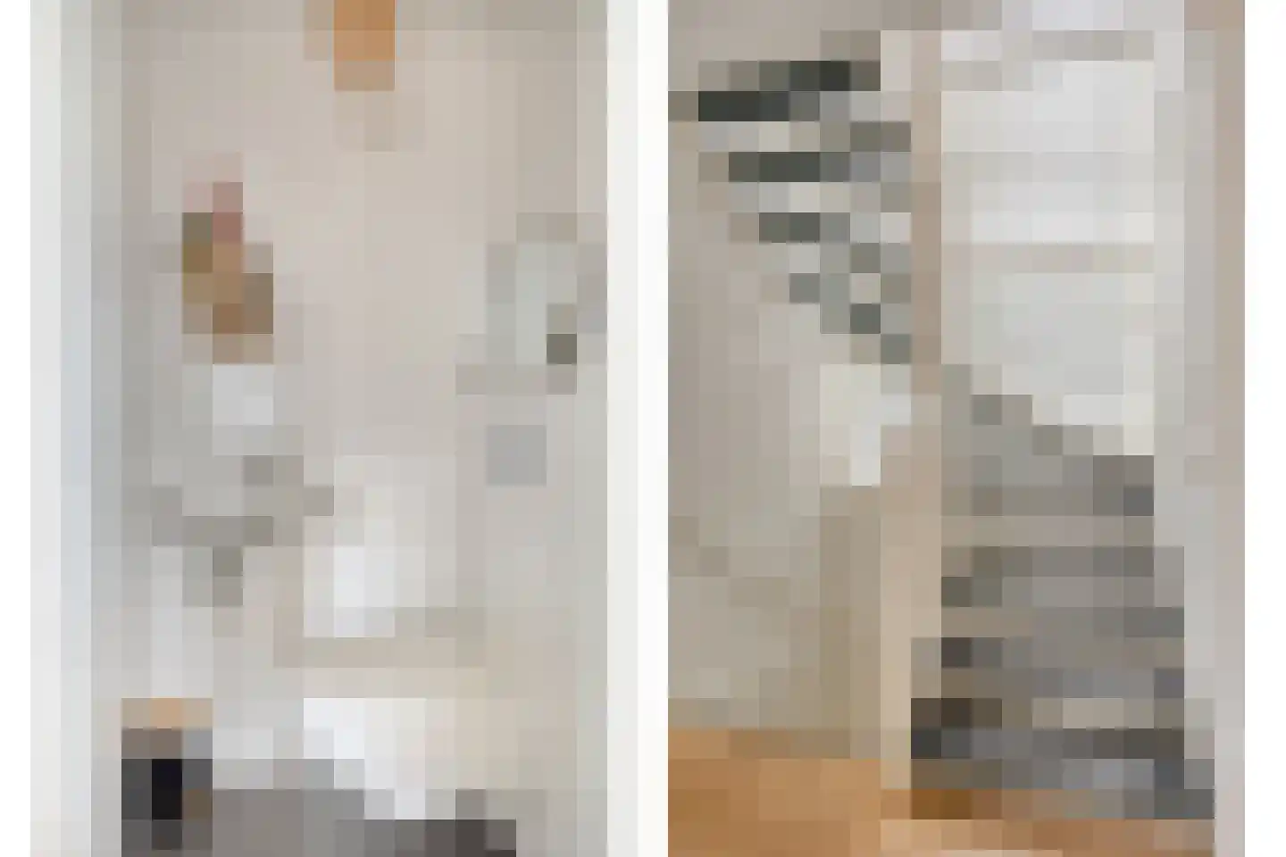 Dassenburcht 1 Scherpenzeel thumbnail 24