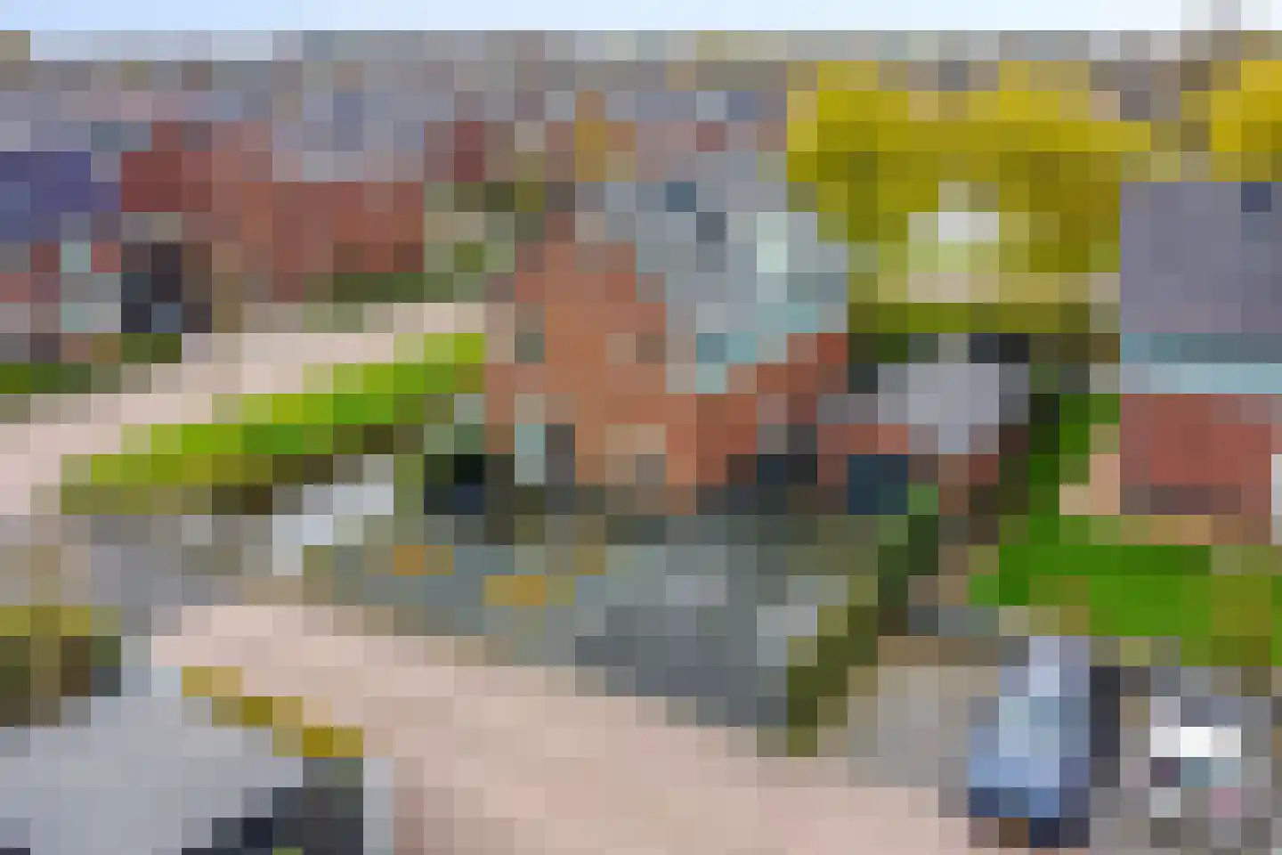 Dassenburcht 1 Scherpenzeel foto 3