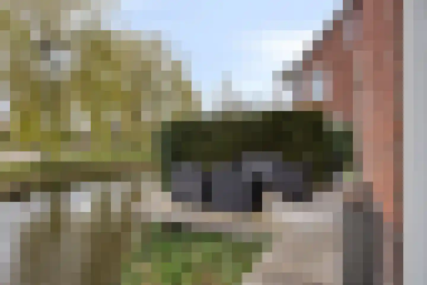 Dassenburcht 1 Scherpenzeel thumbnail 37