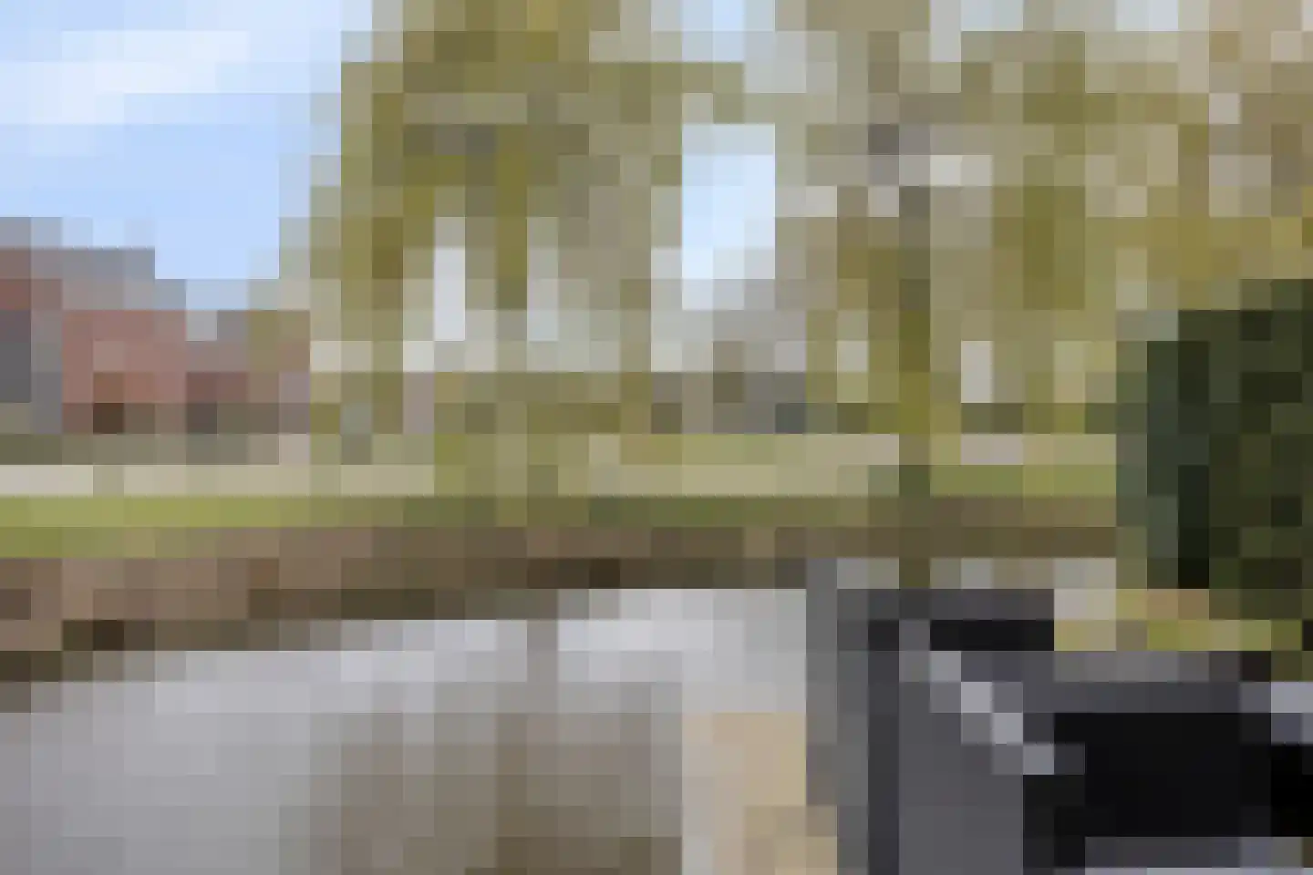 Dassenburcht 1 Scherpenzeel thumbnail 39
