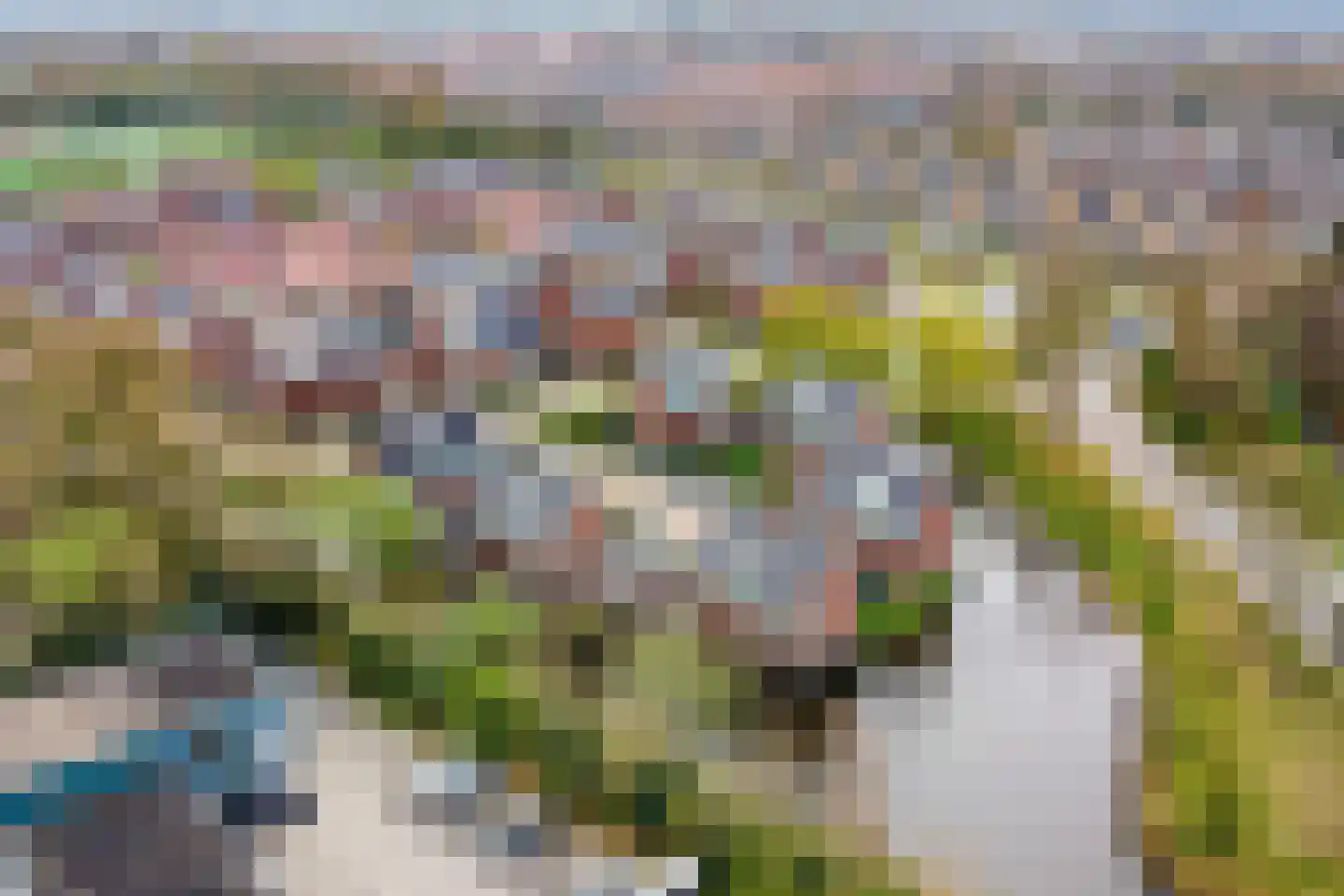 Dassenburcht 1 Scherpenzeel thumbnail 4