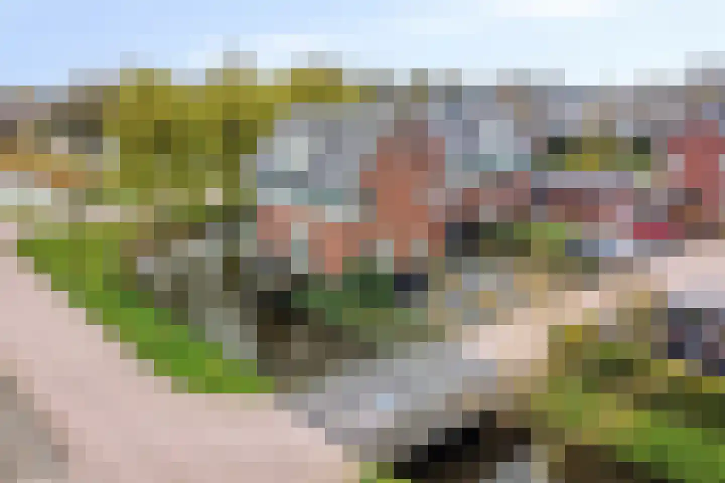 Dassenburcht 1 Scherpenzeel thumbnail 40