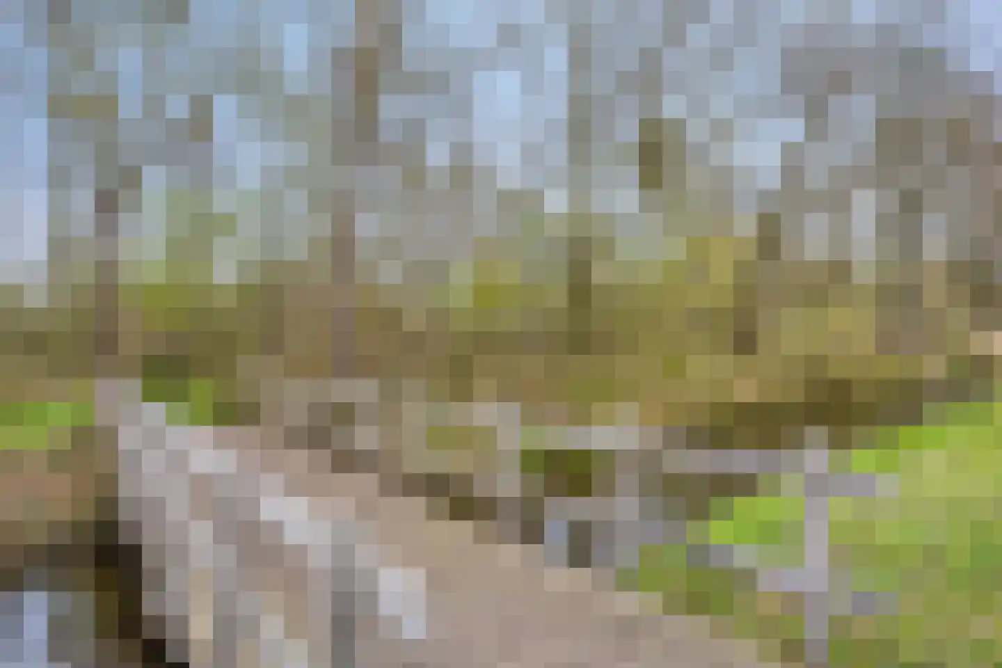 Dassenburcht 1 Scherpenzeel thumbnail 46
