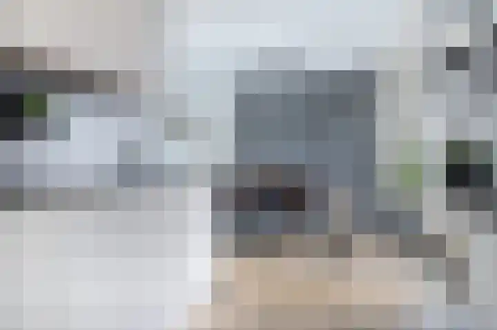 Dassenburcht 10 Muntendam thumbnail 11