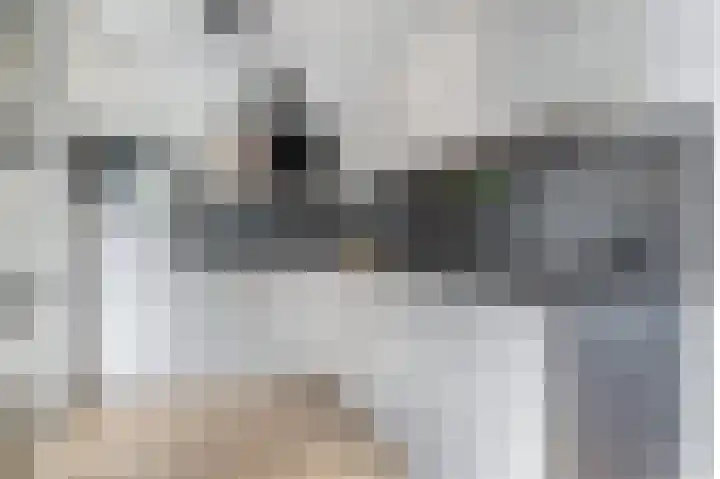 Dassenburcht 10 Muntendam thumbnail 12