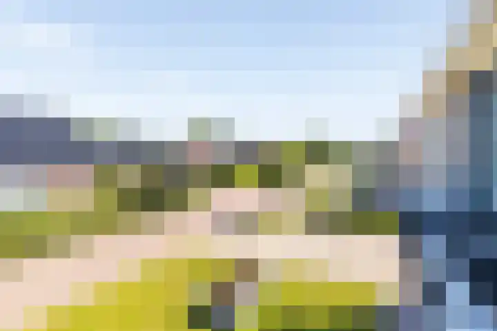 Dassenburcht 10 Muntendam thumbnail 24