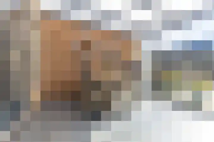 Dassenburcht 10 Muntendam thumbnail 27