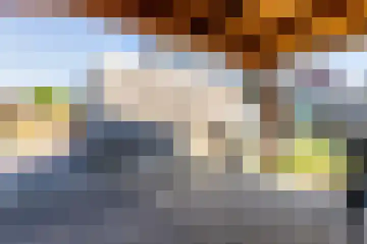 Dassenburcht 10 Muntendam thumbnail 33