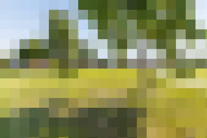 Dassenburcht 10 Muntendam thumbnail 34
