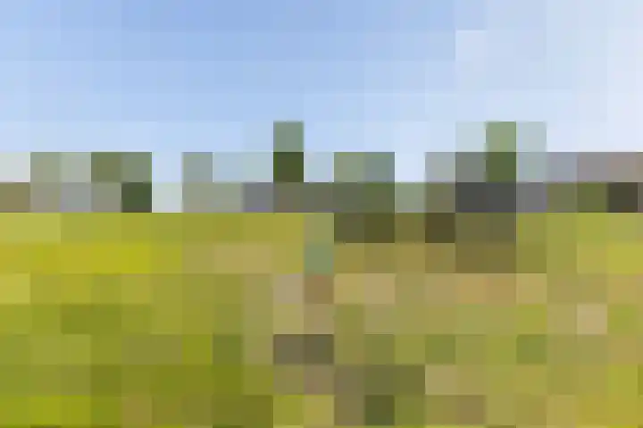 Dassenburcht 10 Muntendam thumbnail 35