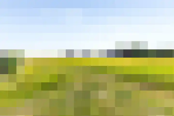 Dassenburcht 10 Muntendam thumbnail 36