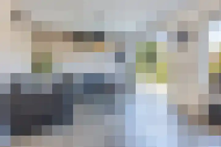 Dassenburcht 10 Muntendam thumbnail 8