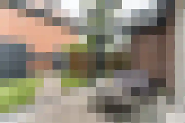 Dassenburcht 108 Vleuten thumbnail 10