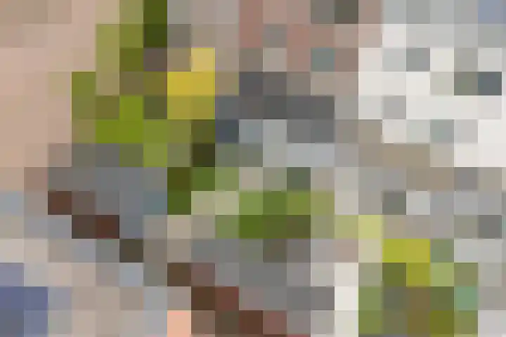 Dassenburcht 108 Vleuten thumbnail 13