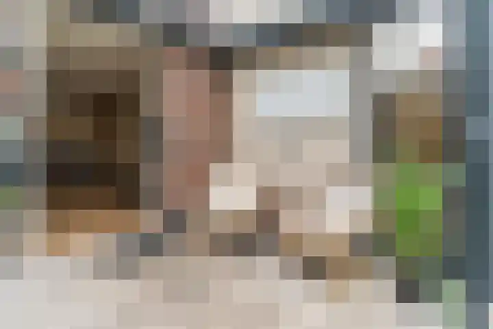 Dassenburcht 108 Vleuten thumbnail 17