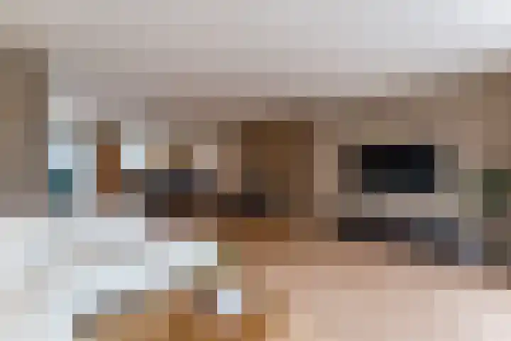 Dassenburcht 108 Vleuten thumbnail 19