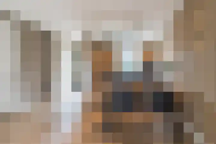Dassenburcht 108 Vleuten thumbnail 20