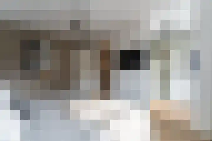 Dassenburcht 108 Vleuten thumbnail 26