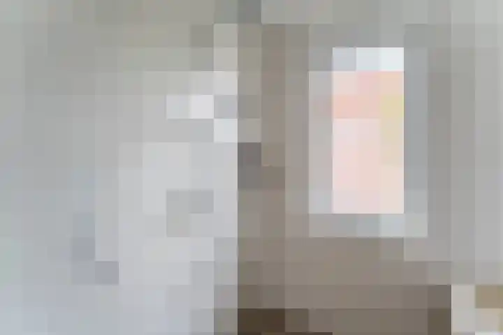 Dassenburcht 108 Vleuten thumbnail 32