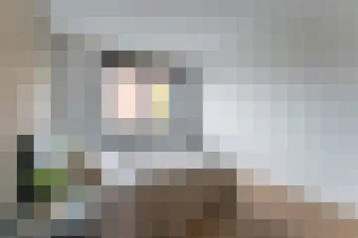 Dassenburcht 108 Vleuten thumbnail 35