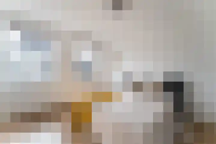 Dassenburcht 108 Vleuten thumbnail 38