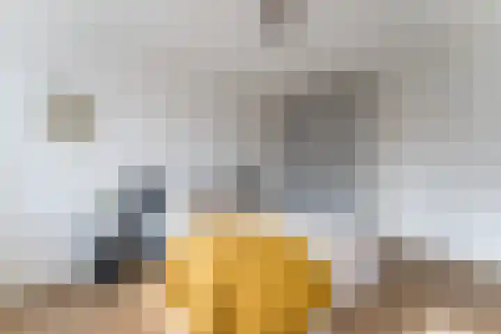 Dassenburcht 108 Vleuten thumbnail 39