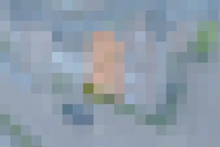 Dassenburcht 108 Vleuten thumbnail 4