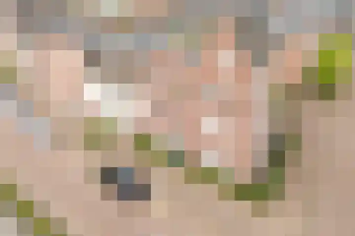 Dassenburcht 108 Vleuten thumbnail 48