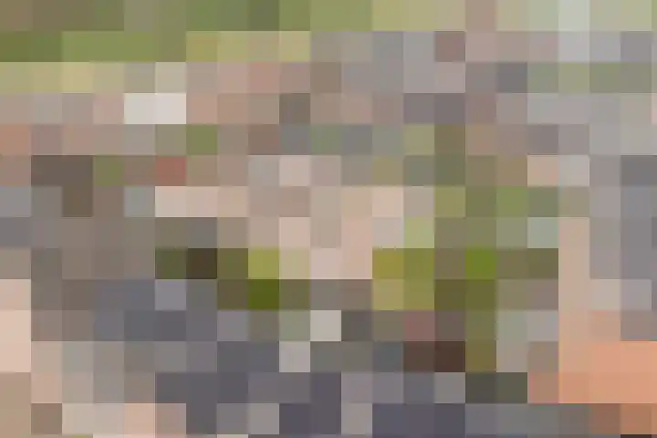 Dassenburcht 108 Vleuten thumbnail 52