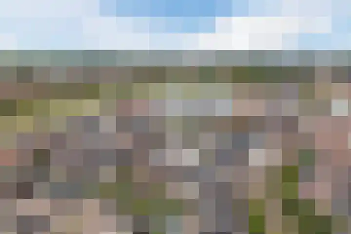 Dassenburcht 108 Vleuten thumbnail 53