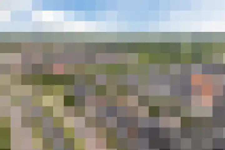Dassenburcht 108 Vleuten thumbnail 54