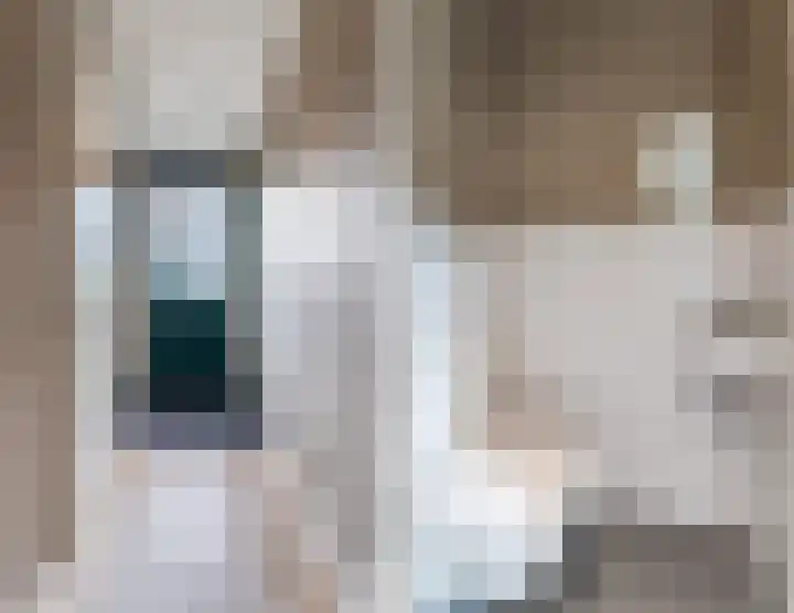 Dassenburcht 108 Vleuten thumbnail 6