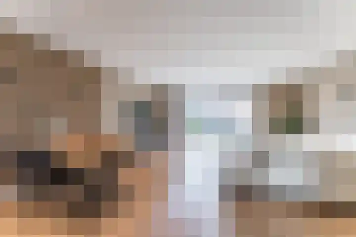 Dassenburcht 108 Vleuten thumbnail 7