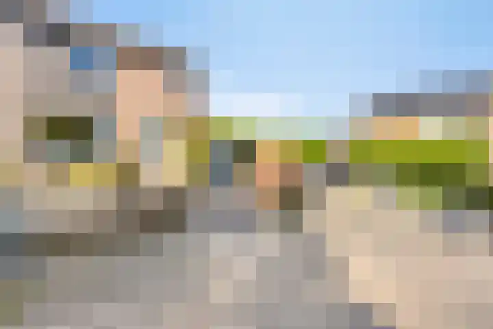 Dassenburcht 11 Beek thumbnail 7