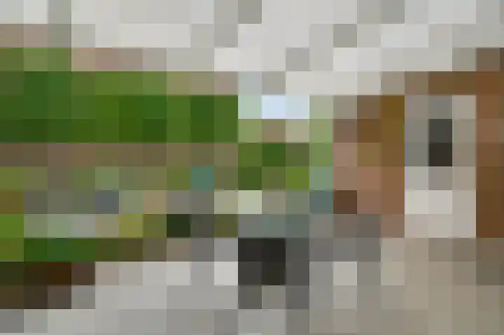 Dassenburcht 12 b Beek thumbnail 13