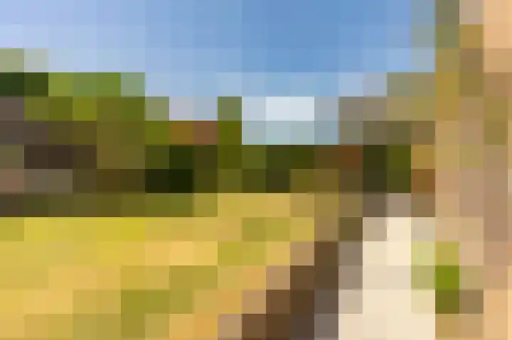 Dassenburcht 13 Beek thumbnail 22